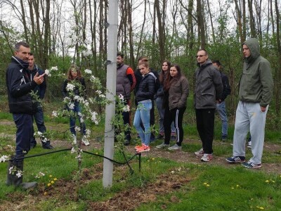 Projekti u poljoprivredi