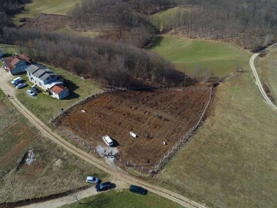 Projektiranje i podizanje voćnjaka