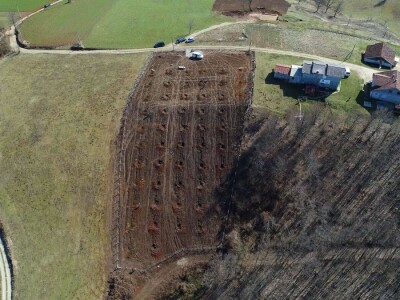 Projektiranje i podizanje voćnjaka