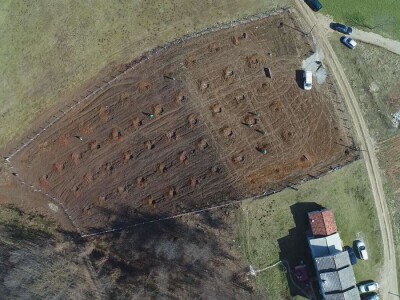 Projektiranje i podizanje voćnjaka