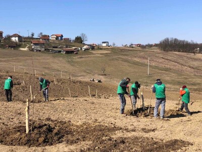 Projektiranje i podizanje voćnjaka