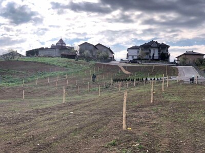 Projektiranje i podizanje voćnjaka
