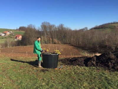 Projektiranje i podizanje voćnjaka