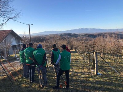 Projektiranje i podizanje voćnjaka