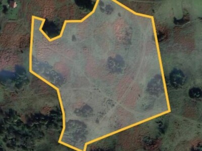 Projektiranje i podizanje voćnjaka