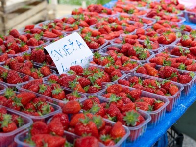 Proljece na osječkoj tržnici