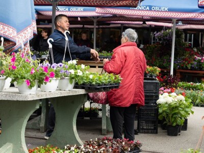 Proljece na osječkoj tržnici