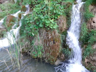 Proljeće na Plitvicama