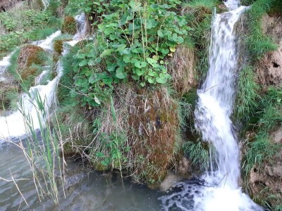 Proljeće na Plitvicama