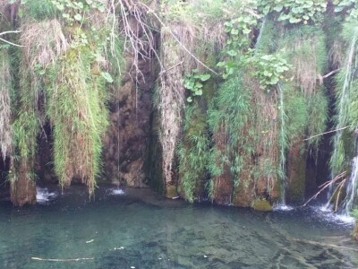 Proljeće na Plitvicama