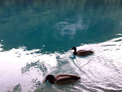 Proljeće na Plitvicama