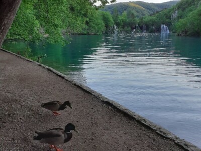 Proljeće na Plitvicama