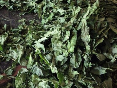 Proljetna berba srijemoša