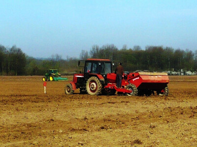 sjetva krompira u Romanovcima