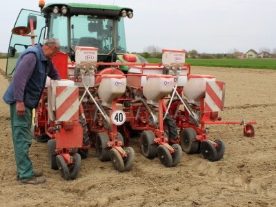 Proljetna sjetva Proljetna sjetva