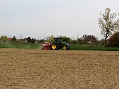 Proljetna sjetva Proljetna sjetva