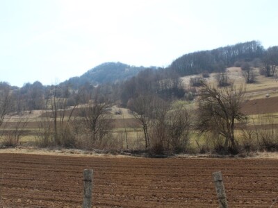 Proljetna sjetva u Konjicu