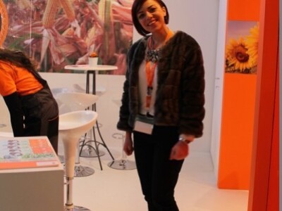 Maja Družijanić, KWS