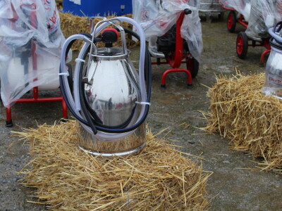 Proljetni bjelovaski sajam 2022.