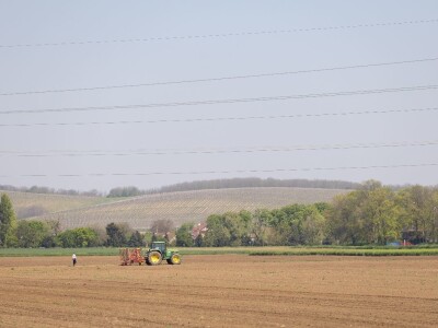 Proljetni radovi na baranjskim oranicama