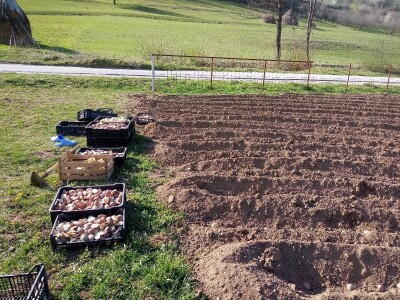 Proljetni radovi na mom imanju