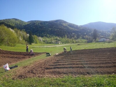 Proljetni radovi na mom imanju