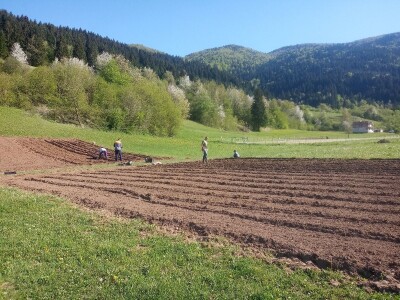 Proljetni radovi na mom imanju