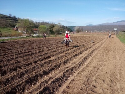 Proljetni radovi na mom imanju