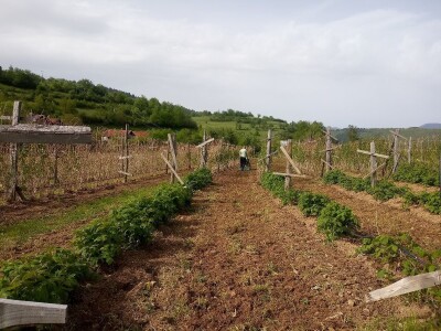 Proljetni radovi na mom imanju