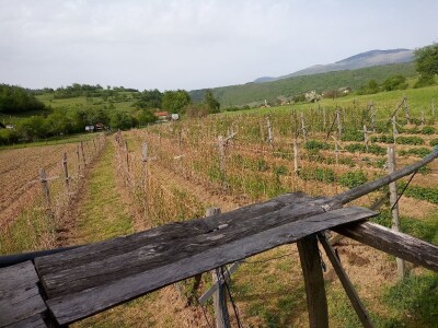 Proljetni radovi na mom imanju