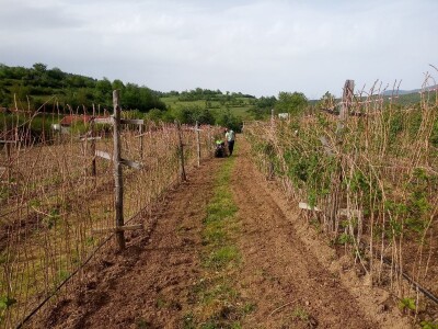 Proljetni radovi na mom imanju