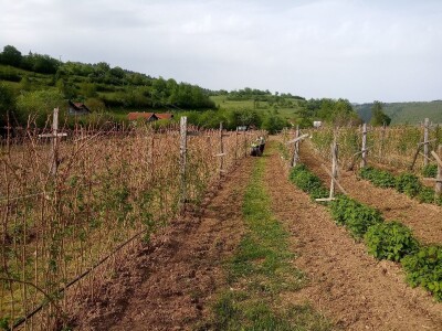 Proljetni radovi na mom imanju