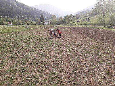 Proljetni radovi na mom imanju