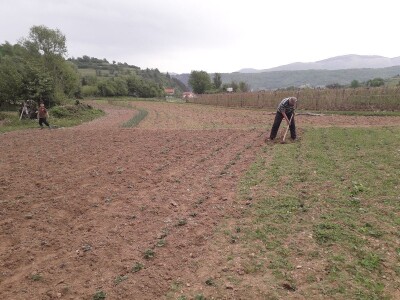 Proljetni radovi na mom imanju