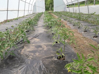 Proljetni radovi na mom imanju