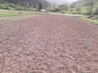 Proljetni radovi na mom imanju