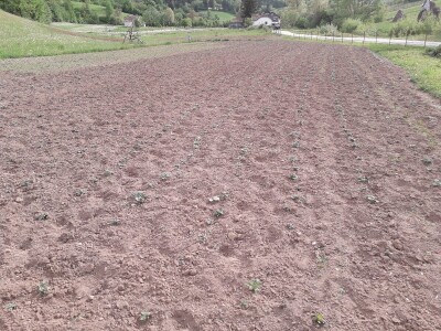 Proljetni radovi na mom imanju