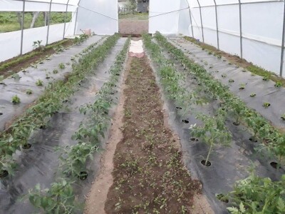 Proljetni radovi na mom imanju