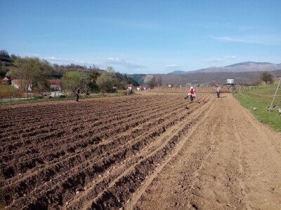 Proljetni radovi na mom imanju