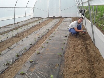 Proljetni radovi na mom imanju