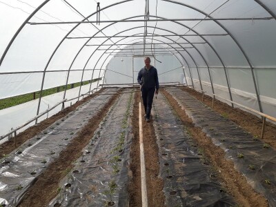 Proljetni radovi na mom imanju