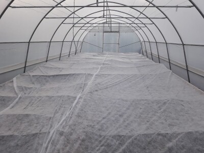 Proljetni radovi na mom imanju