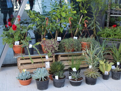 Proljetni sajam Os 2024.