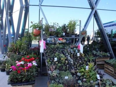 Proljetni sajam Os 2024.