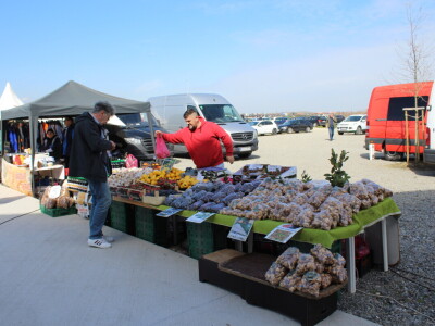 Proljetni sajam Os 2024.