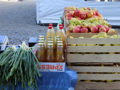 Proljetni sajam Os 2024.