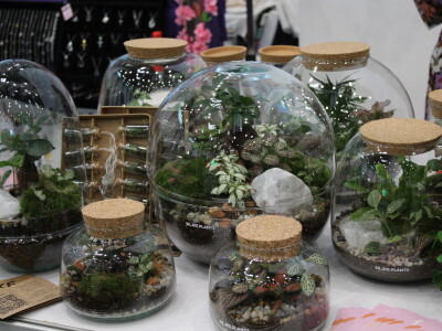 Proljetni sajam Os 2024.