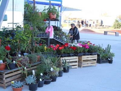 Proljetni sajam Os 2024.