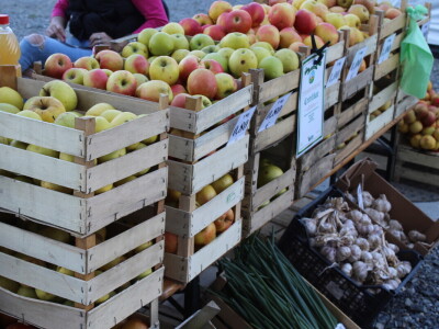 Proljetni sajam Os 2024.