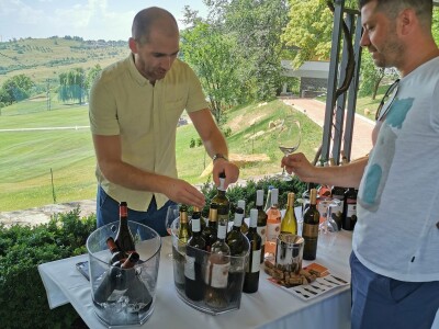 Promenadno kušanje vina Slavonije i hrvatskog Podunavlja u BiH
